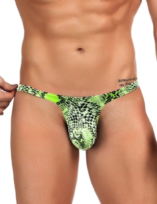 Green Snakeskin Pattern Sexy Men's Thong