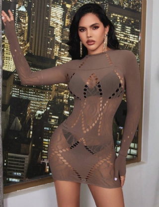 Brown Sexy Long Sleeves  Bodystocking